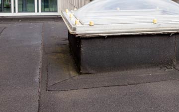 disadvantages of Marsh Side flat roofs