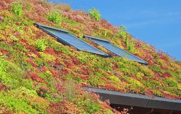 Marsh Side living roof systems