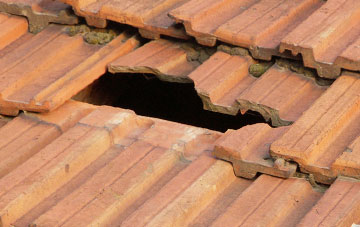 roof repair Marsh Side, Norfolk